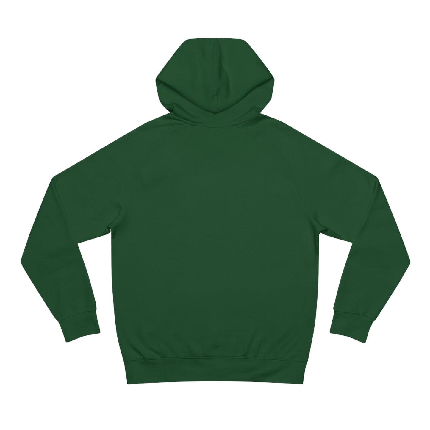 AIQ Logo 2024 Hoodie