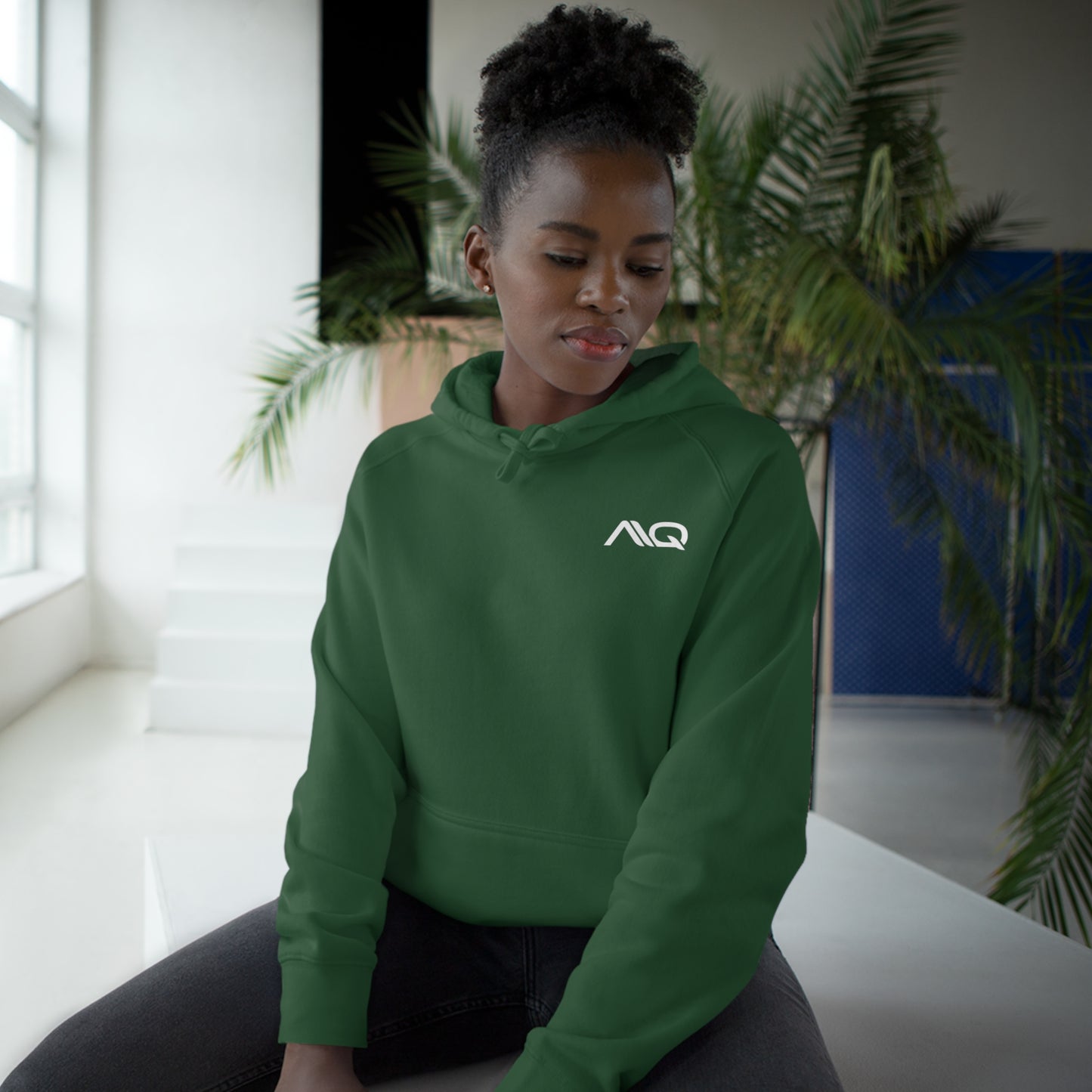 AIQ Logo 2024 Hoodie