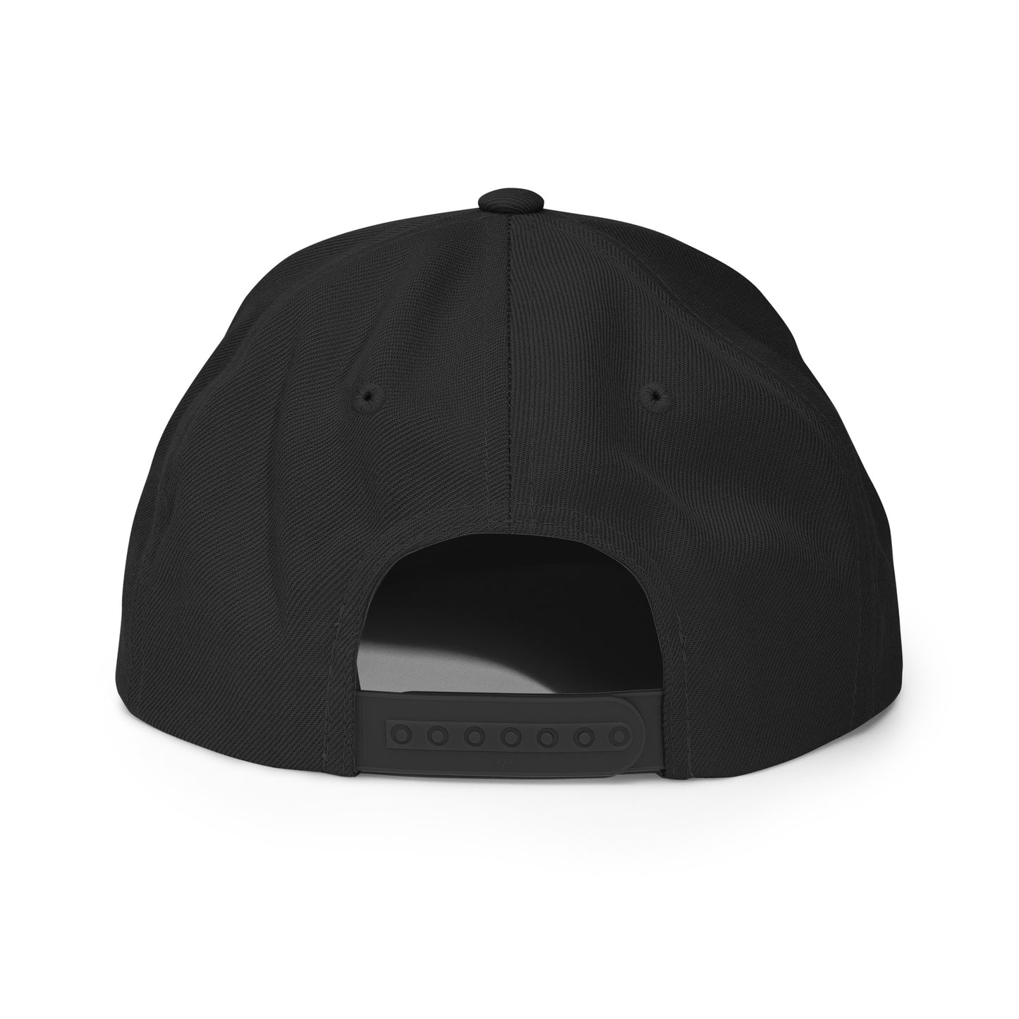 AIQ Logo Snapback Cloth hat