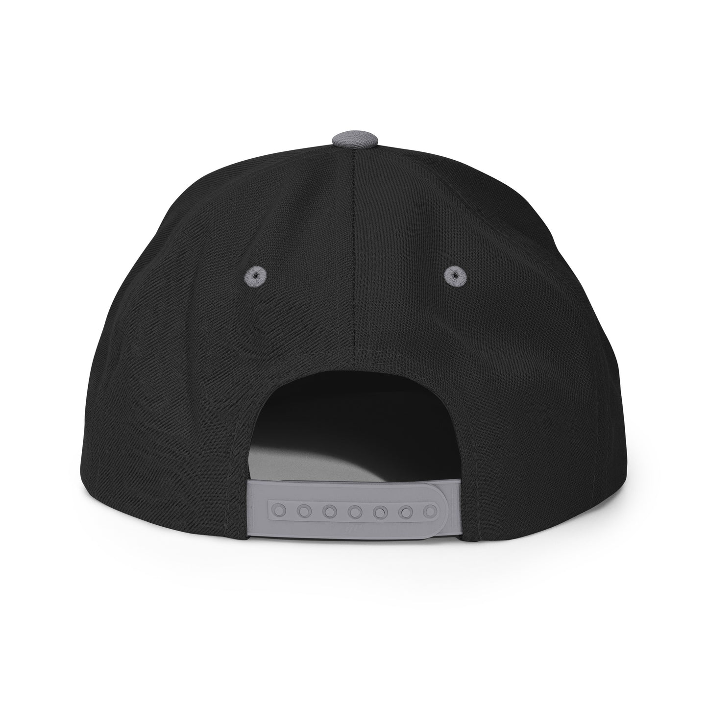 AIQ Logo Snapback Cloth hat