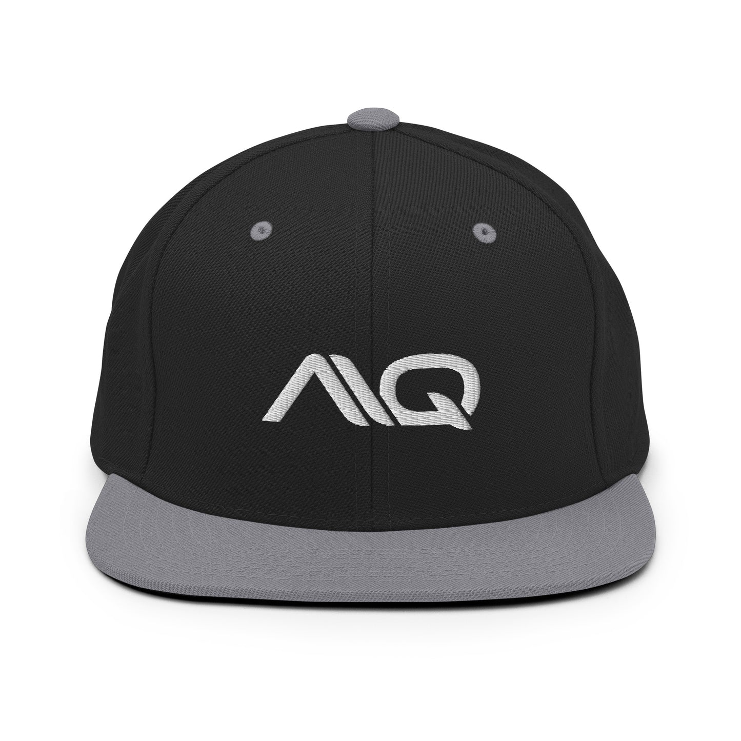 AIQ Logo Snapback Cloth hat