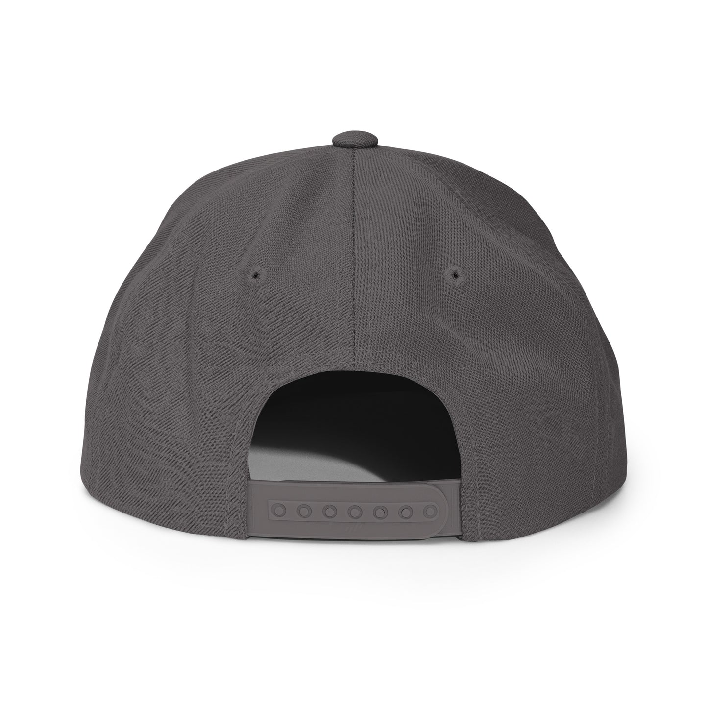 AIQ Logo Snapback Cloth hat