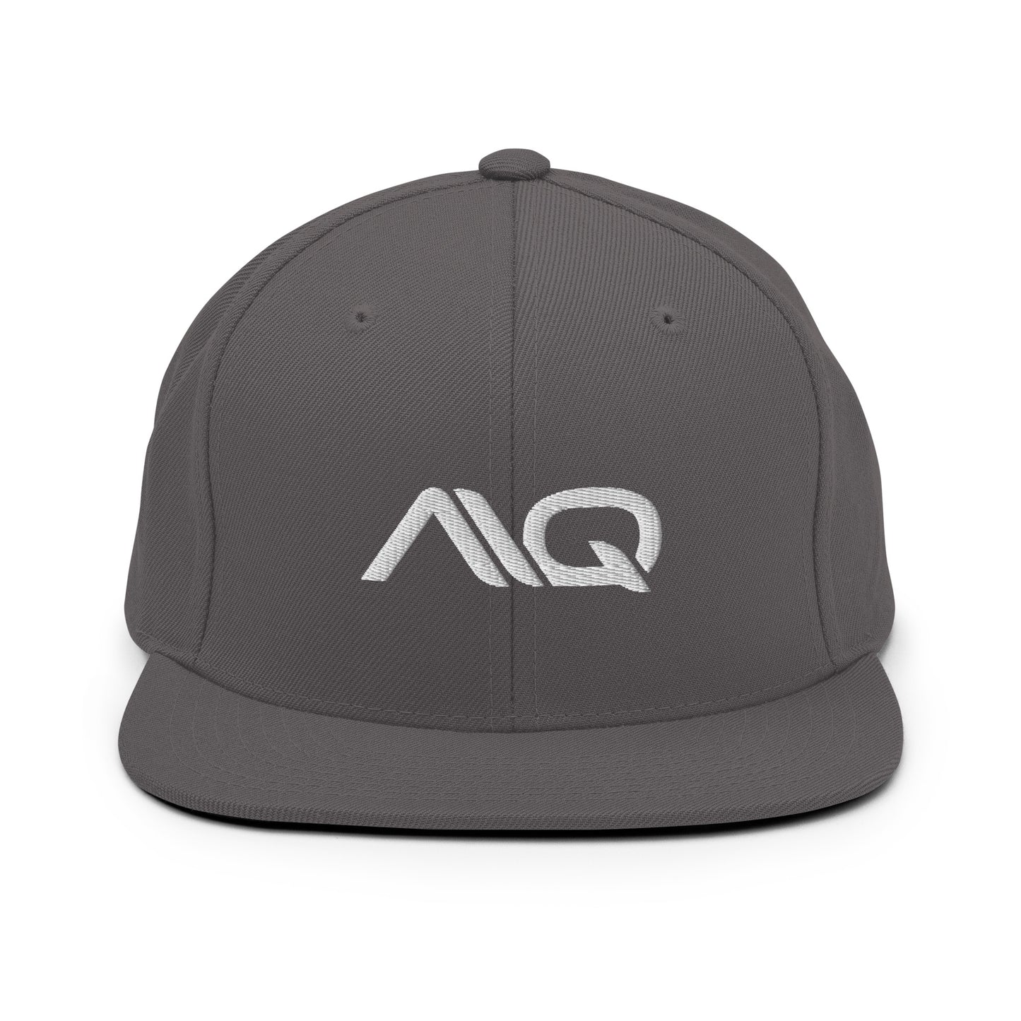 AIQ Logo Snapback Cloth hat