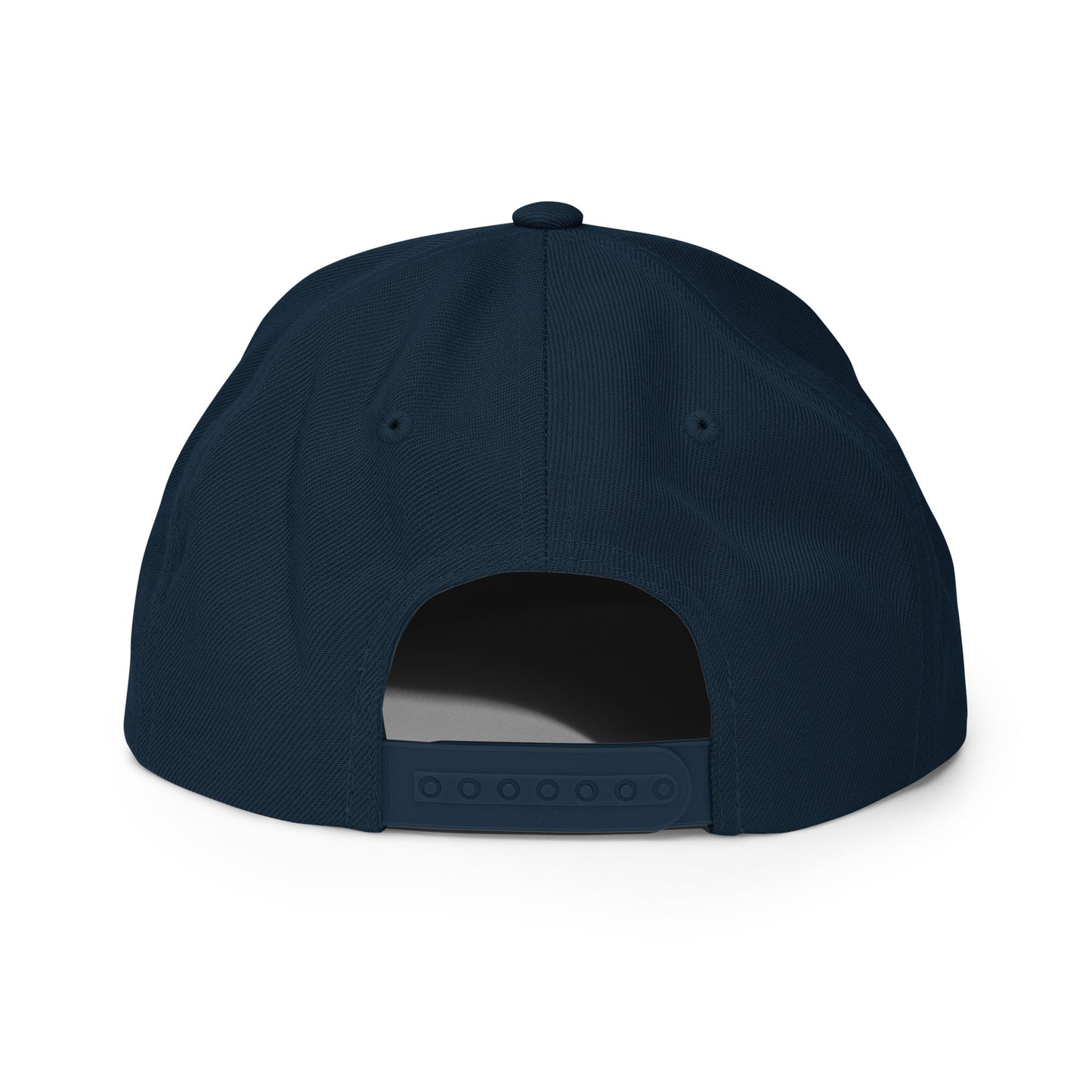 AIQ Logo Snapback Cloth hat