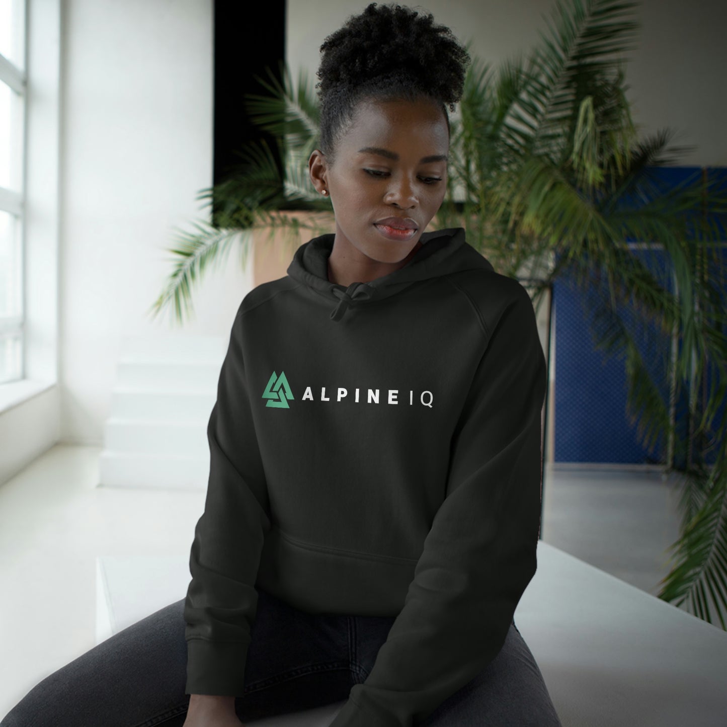 Alpine IQ Clasic Logo Hoodie