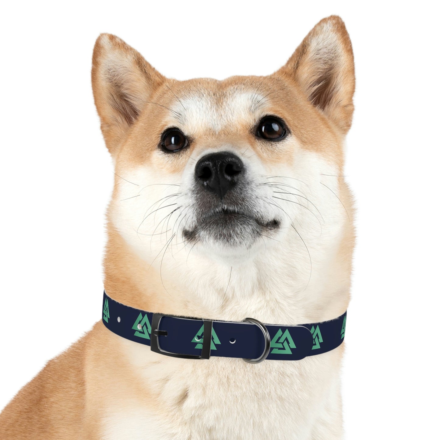 Alpine IQ Official Pet Collar