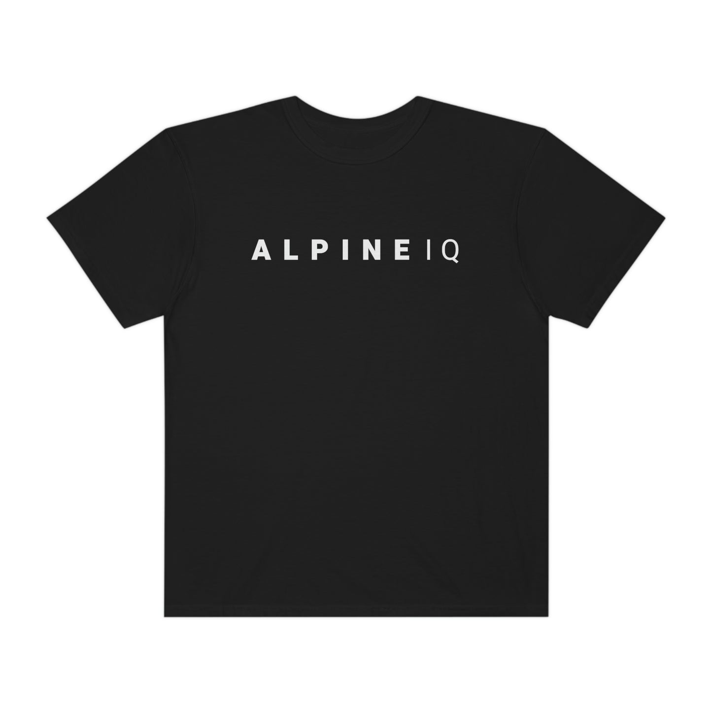 Alpine IQ Logo Short Sleeve T-Shirt - Heavy Weight