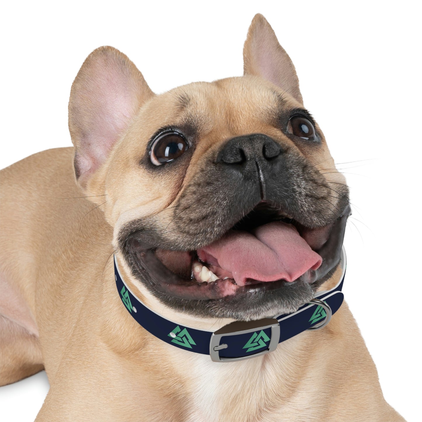 Alpine IQ Official Pet Collar