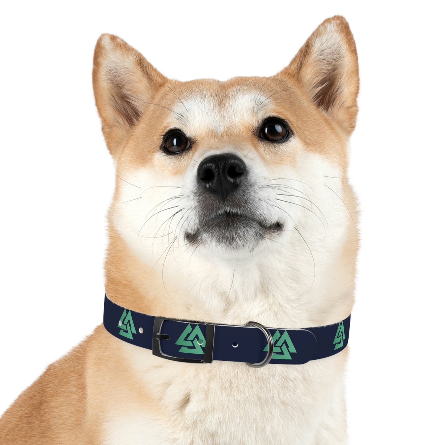 Alpine IQ Official Pet Collar