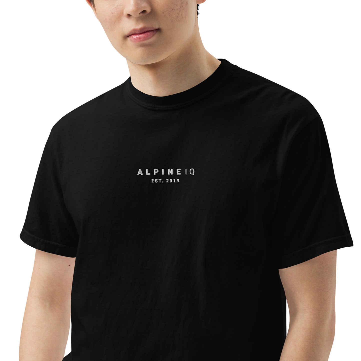 Alpine IQ Embroidered T-Shirt - Heavy Weight