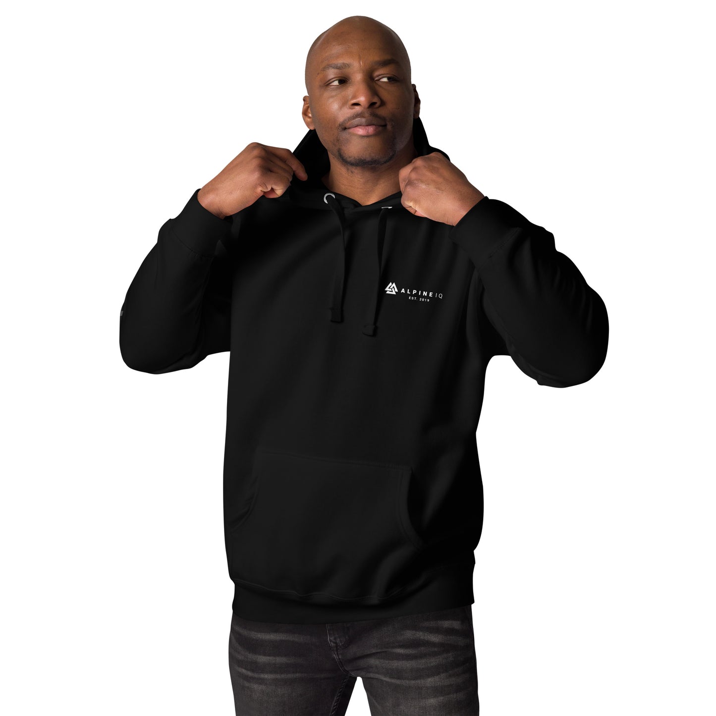 Alpine IQ Sleeve Print Hoodie