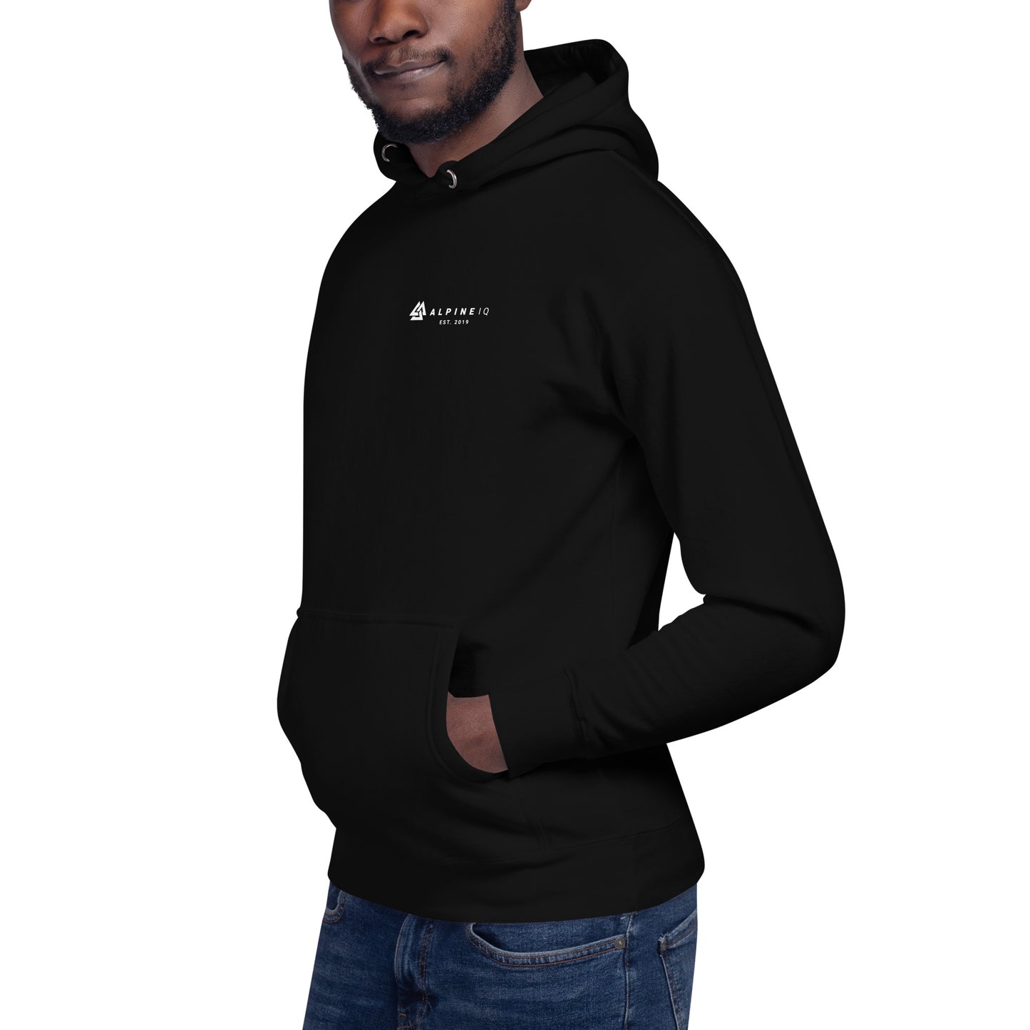 Alpine IQ Sleeve Print Hoodie