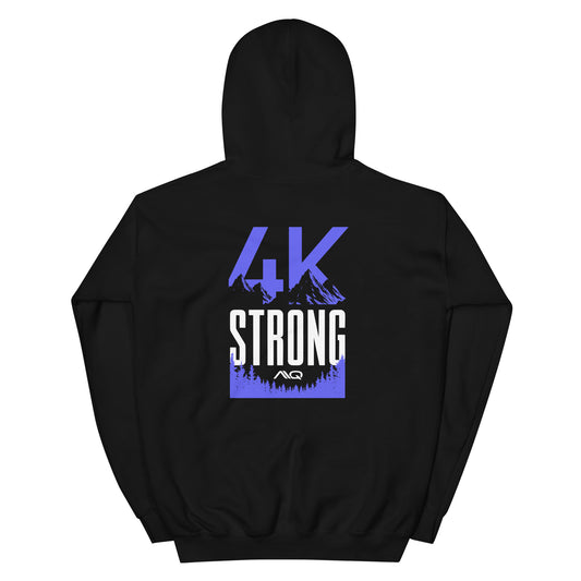 4K Team Collection Hoodie