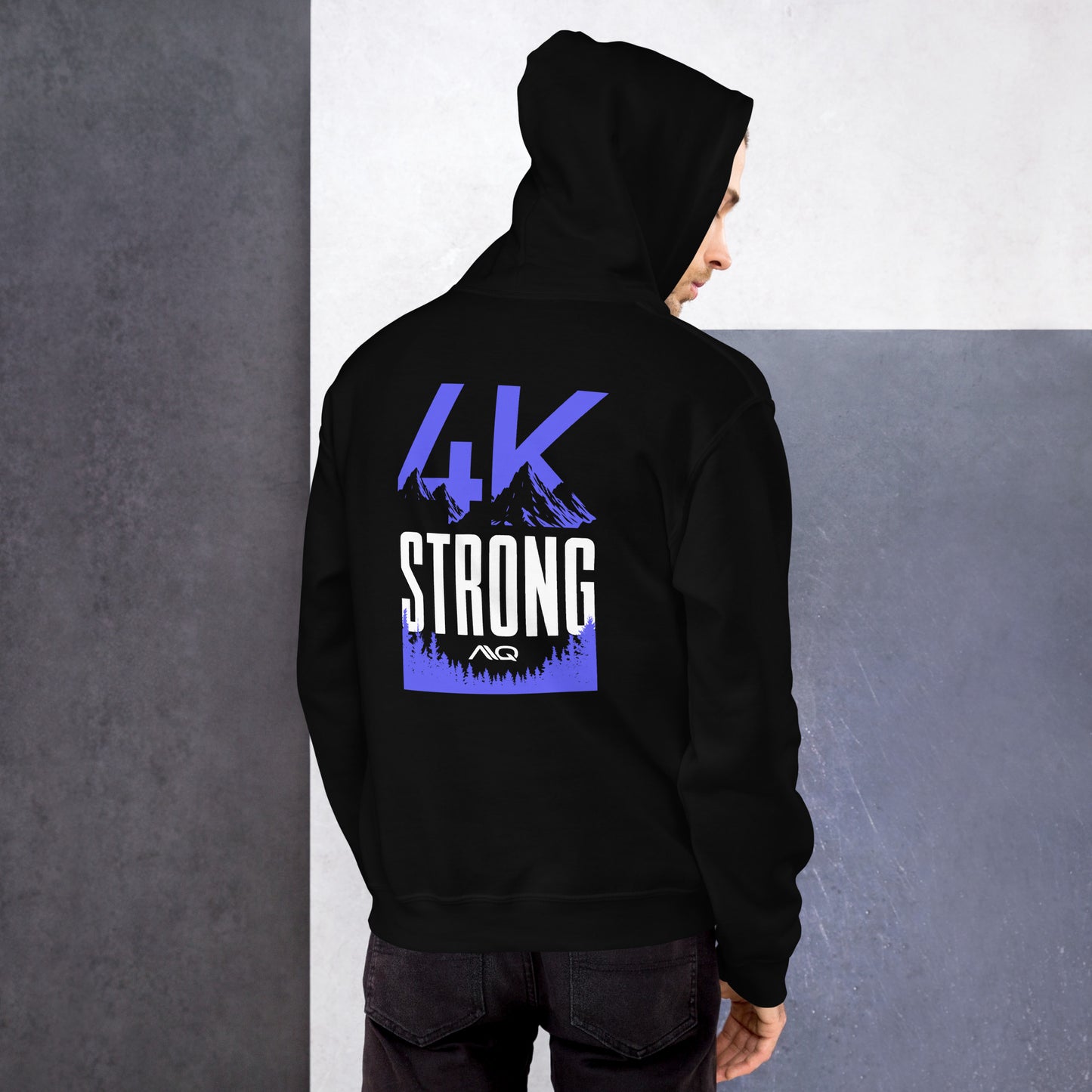 4K Team Collection Hoodie