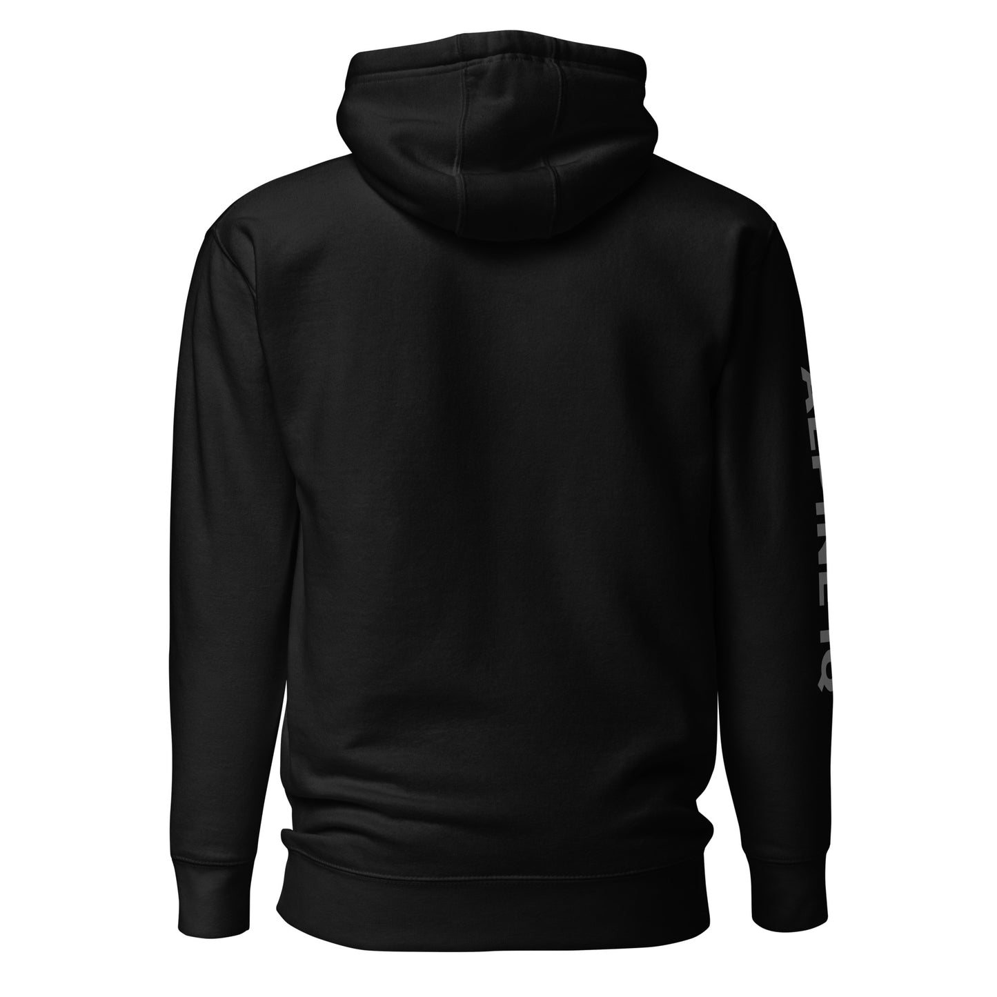 AIQ Logo 2024 Sleeve Print Hoodie