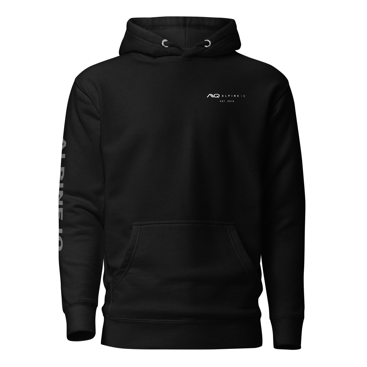 AIQ Logo 2024 Sleeve Print Hoodie