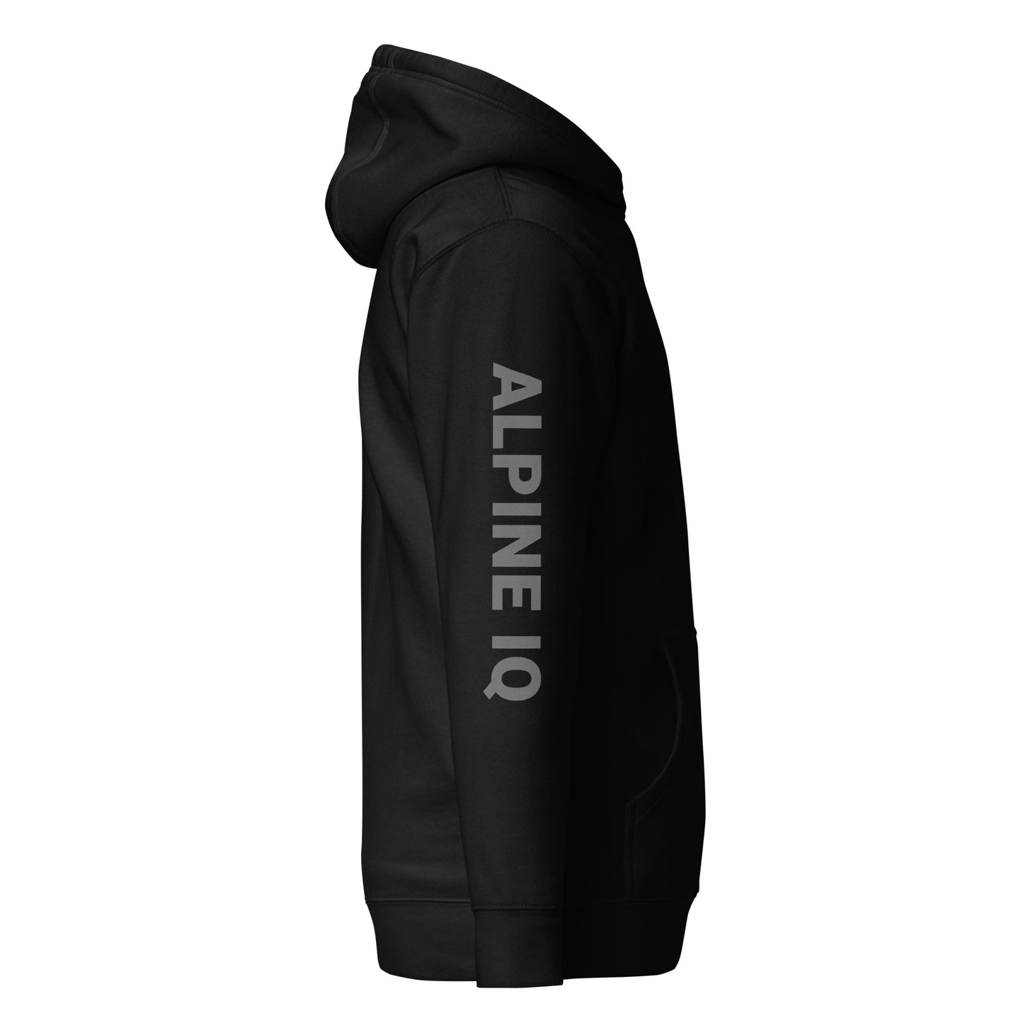 AIQ Logo 2024 Sleeve Print Hoodie