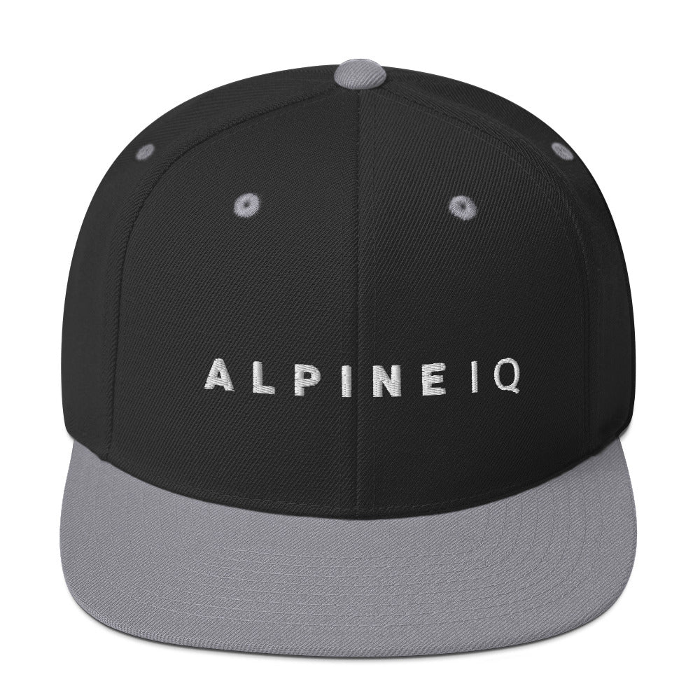 Alpine IQ Snapback Cloth hat