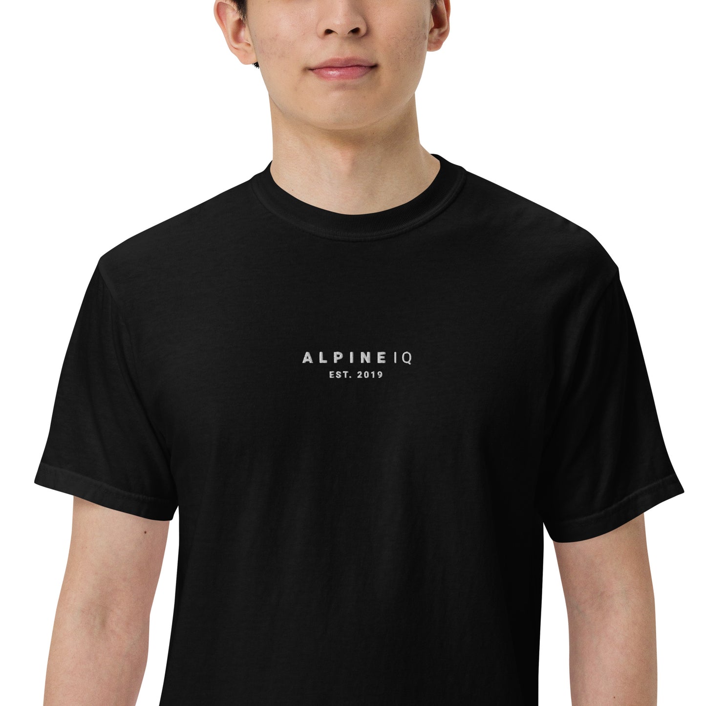 Alpine IQ Embroidered T-Shirt - Heavy Weight
